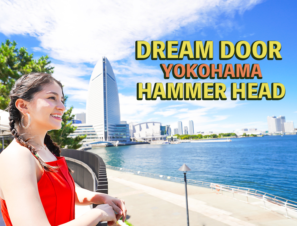 DREAM DOOR YOKOHAMA HAMMERHEAD