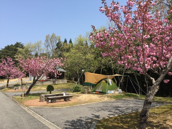 石川県健康の森 星と緑のキャンプ場