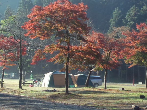 緑の休暇村青根キャンプ場